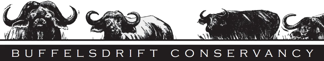 Buffelsdrift Conservancy